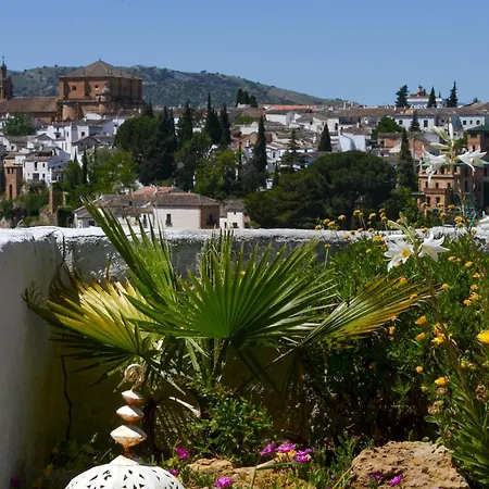公寓 +private Garden +amazing View